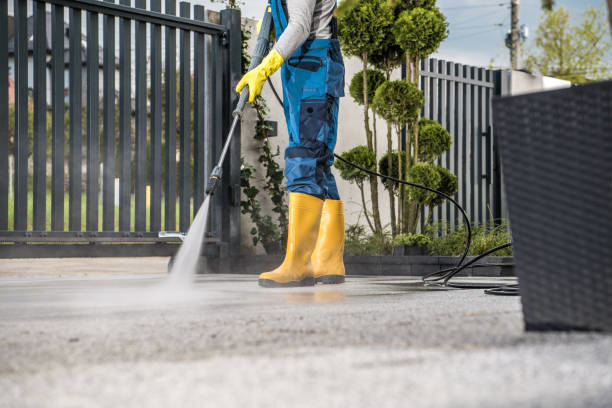 Best Sidewalk and Walkway Cleaning  in Madison Heights, VA